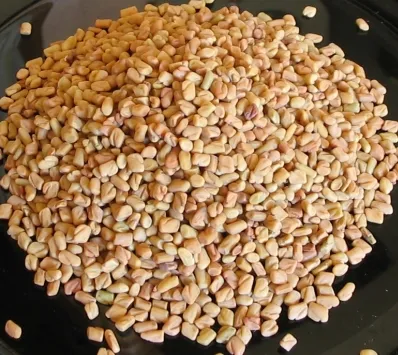 Fenugreek Oil 4